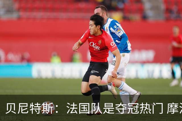 贝尼特斯：法国队是夺冠热门 摩洛哥、挪威、塞内加尔有黑马潜质